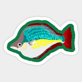 Red Rainbowfish Sticker